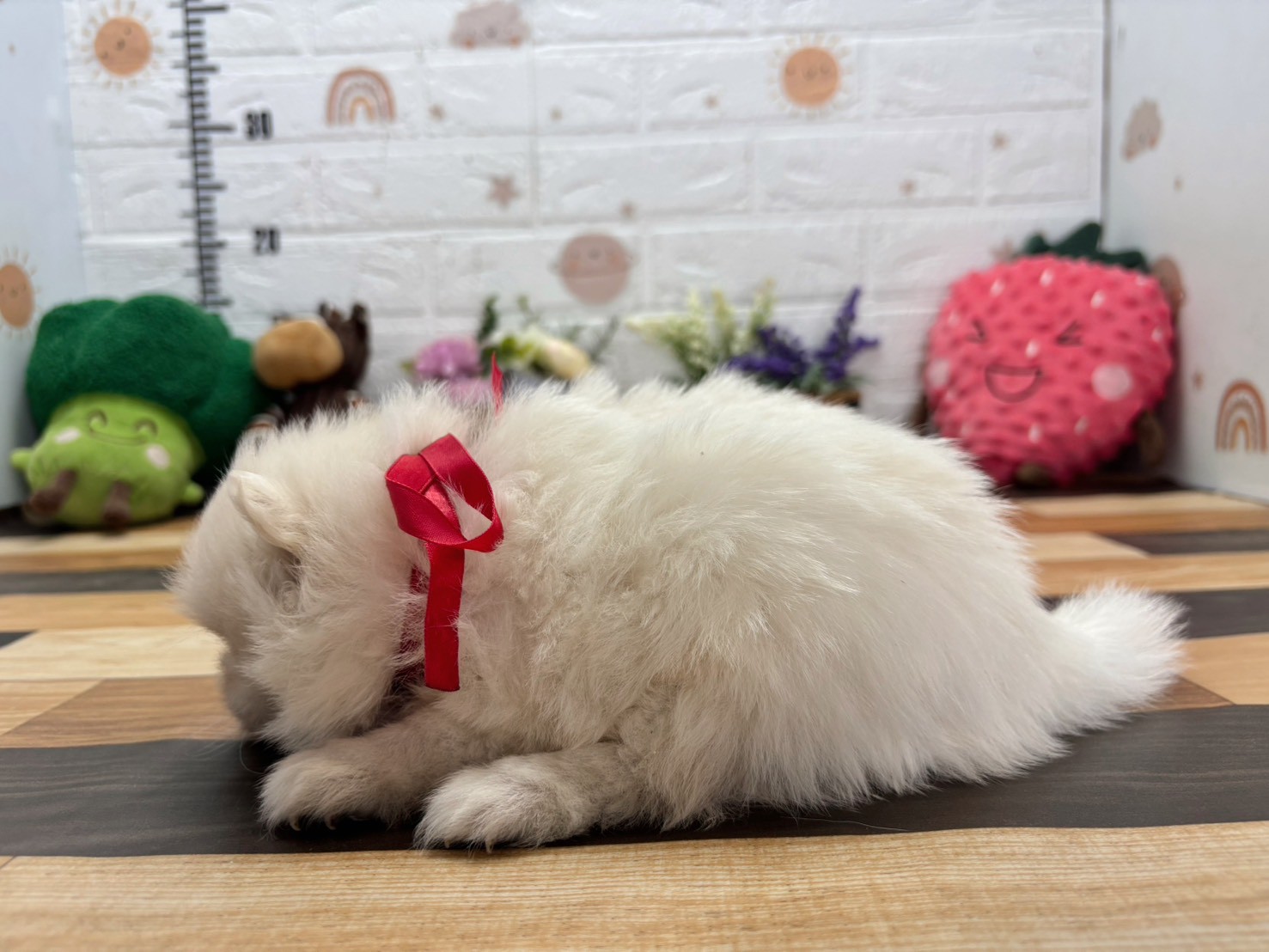 赤ちゃん写真3-2