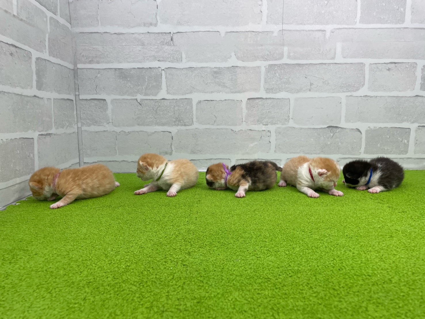 赤ちゃん写真1-3