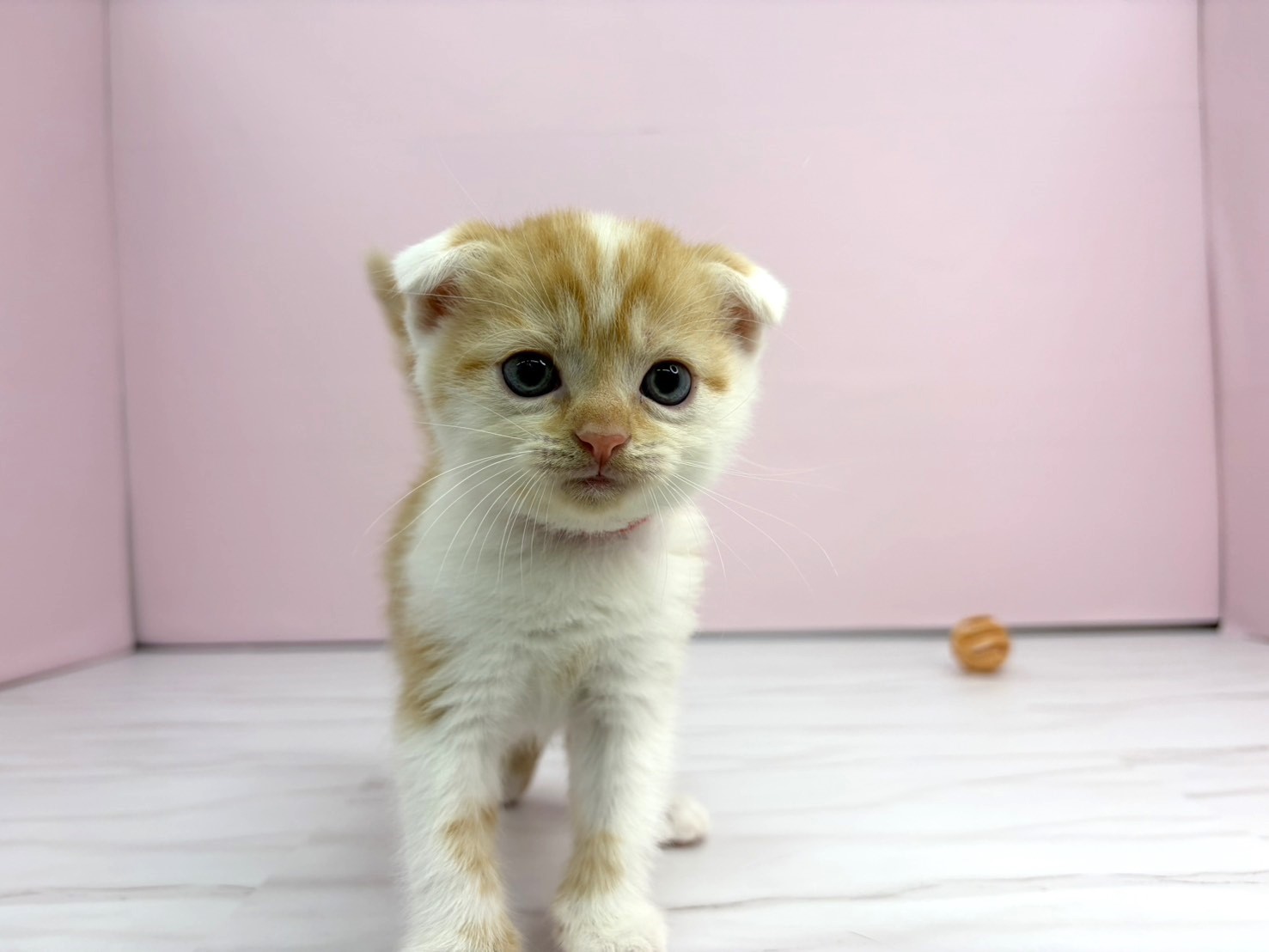 赤ちゃん写真2-1