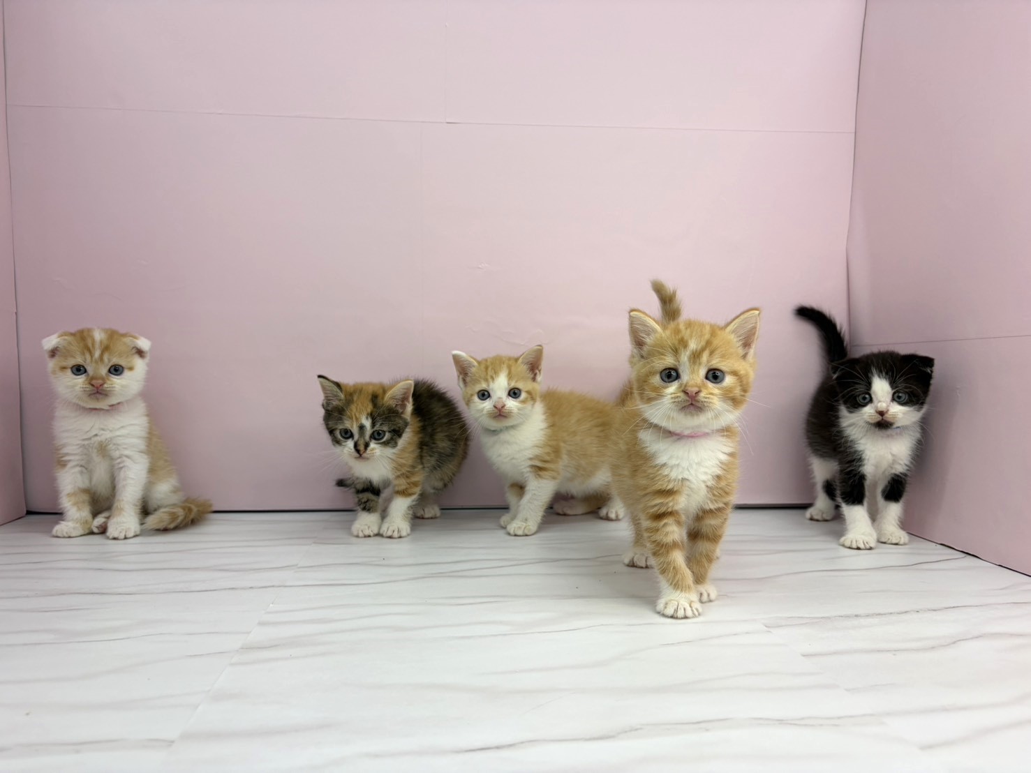 赤ちゃん写真2-3