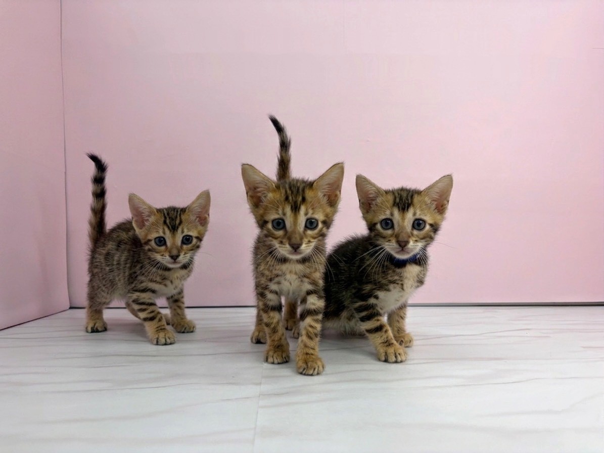 赤ちゃん写真2-3