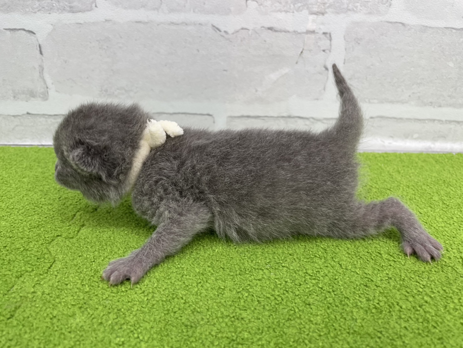 赤ちゃん写真1-2