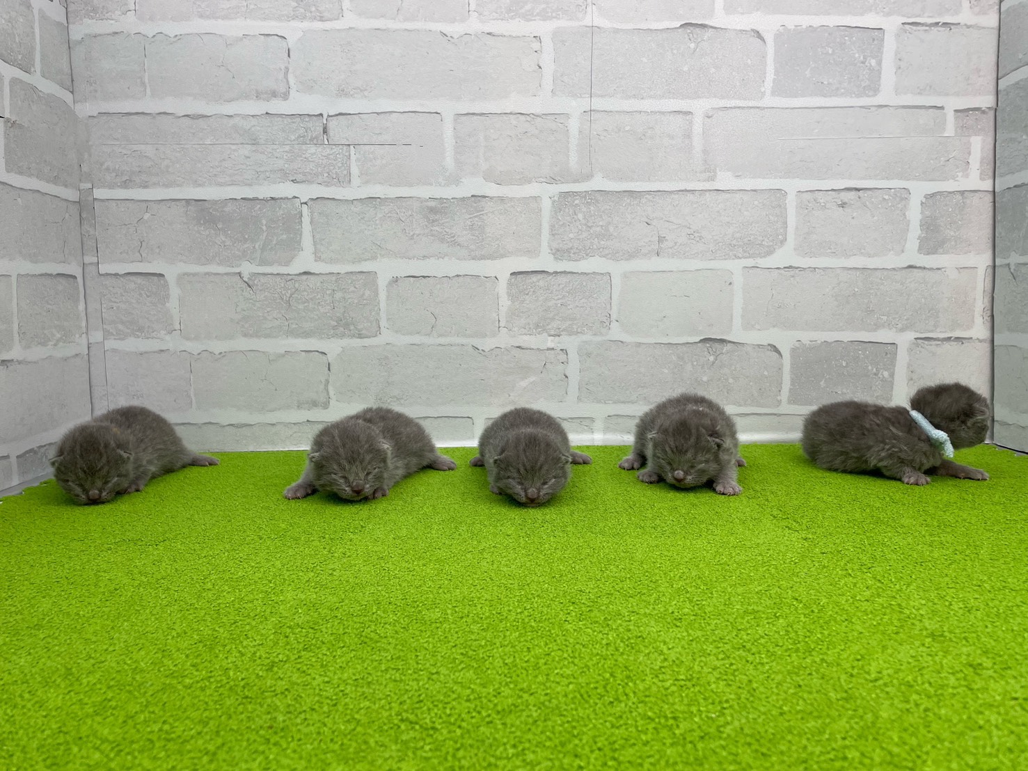 赤ちゃん写真1-3