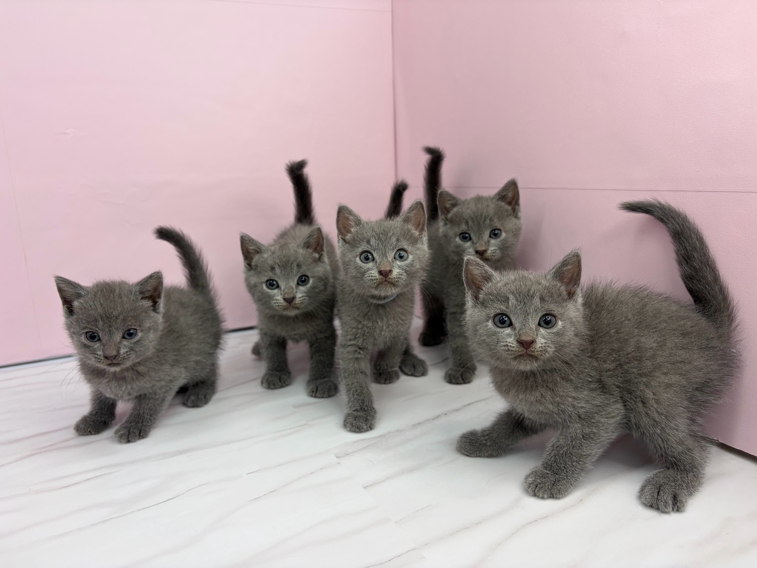 赤ちゃん写真2-3