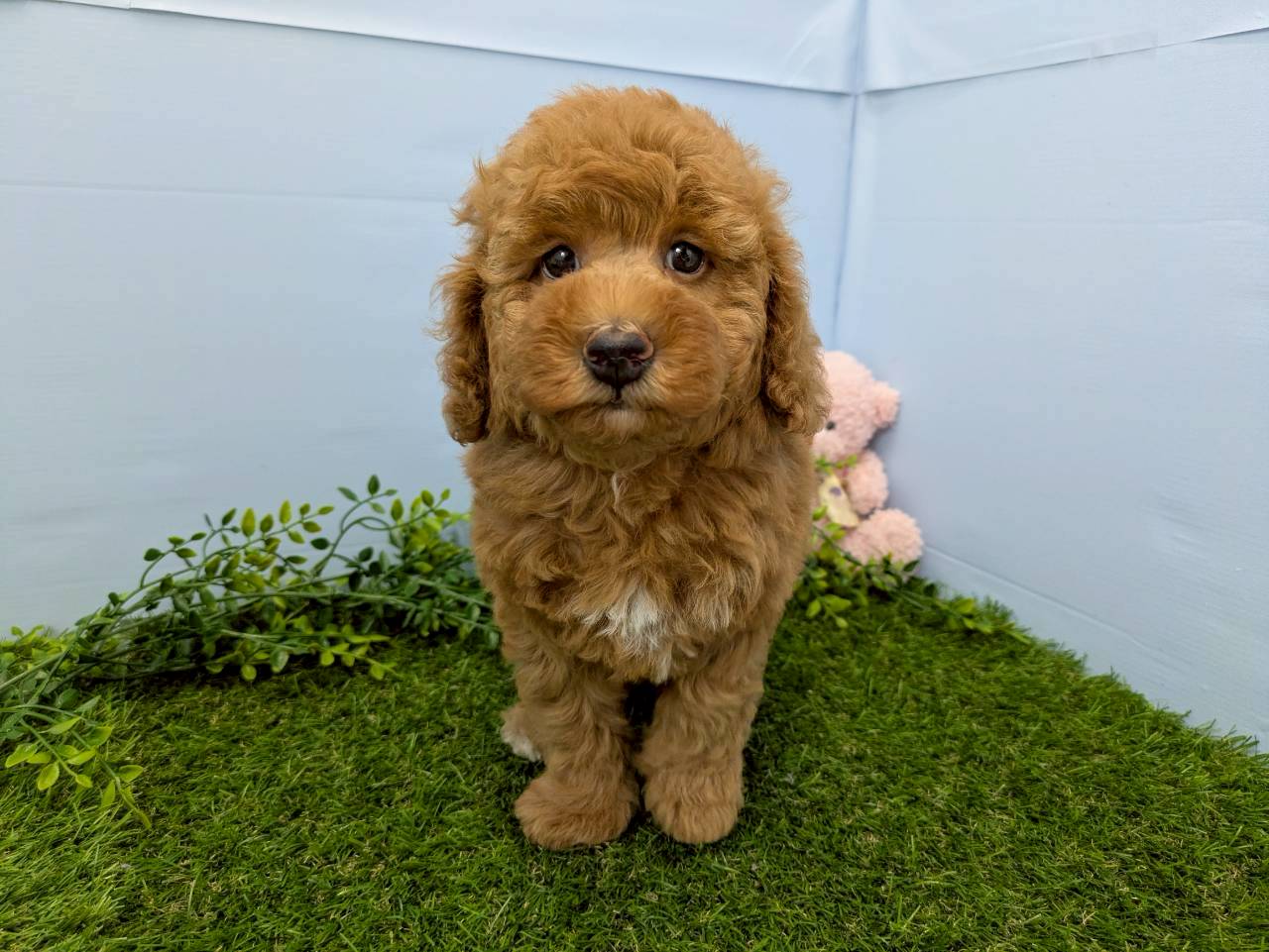 赤ちゃん写真3-1