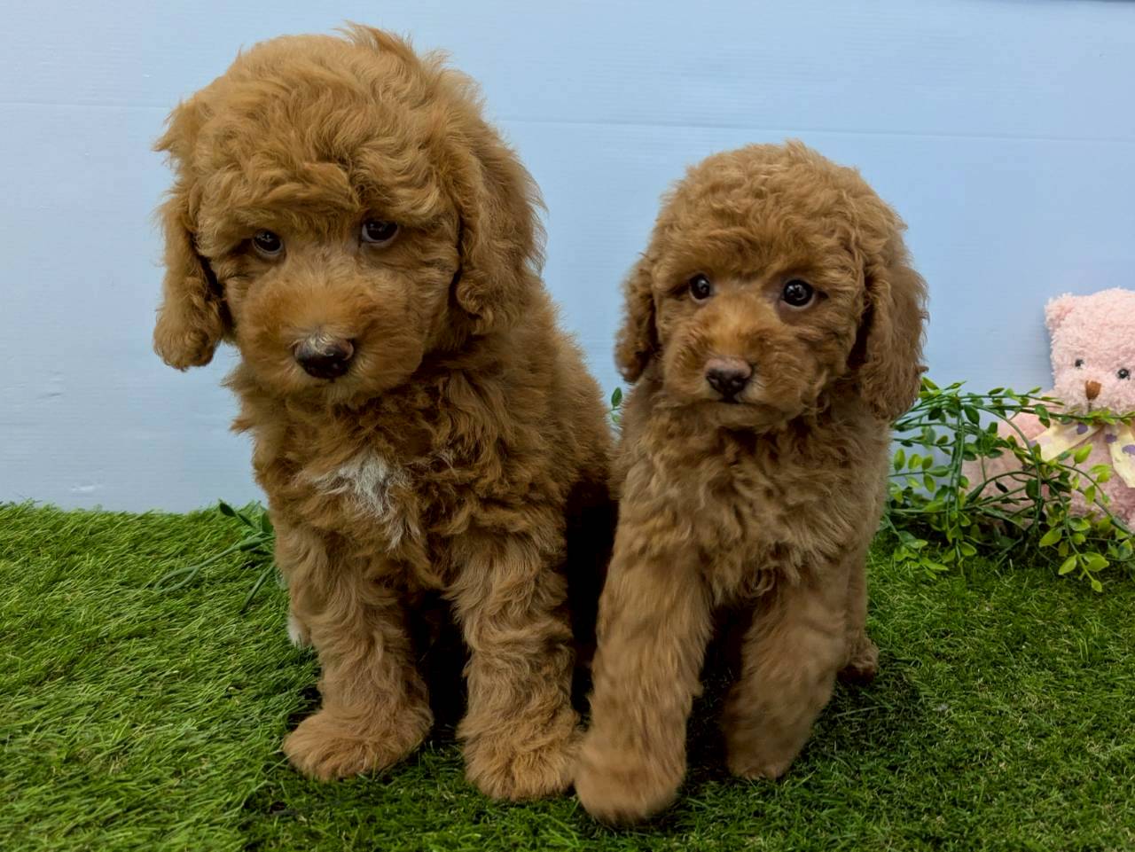 赤ちゃん写真3-3