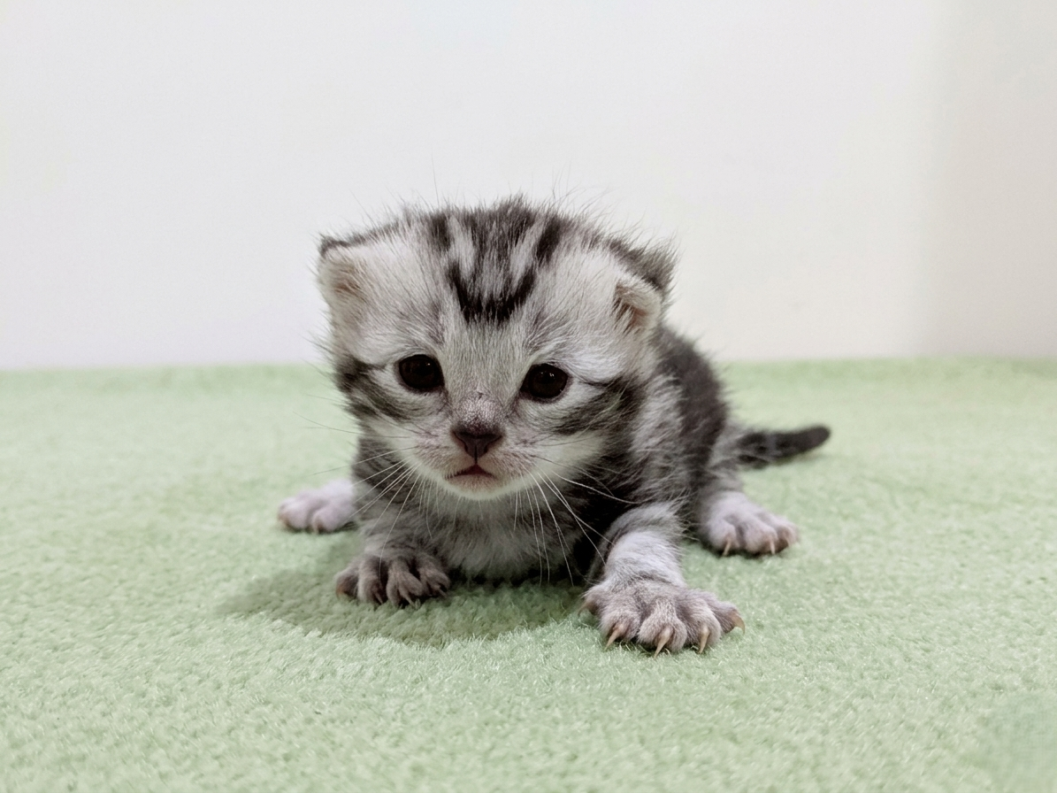 赤ちゃん写真1-1