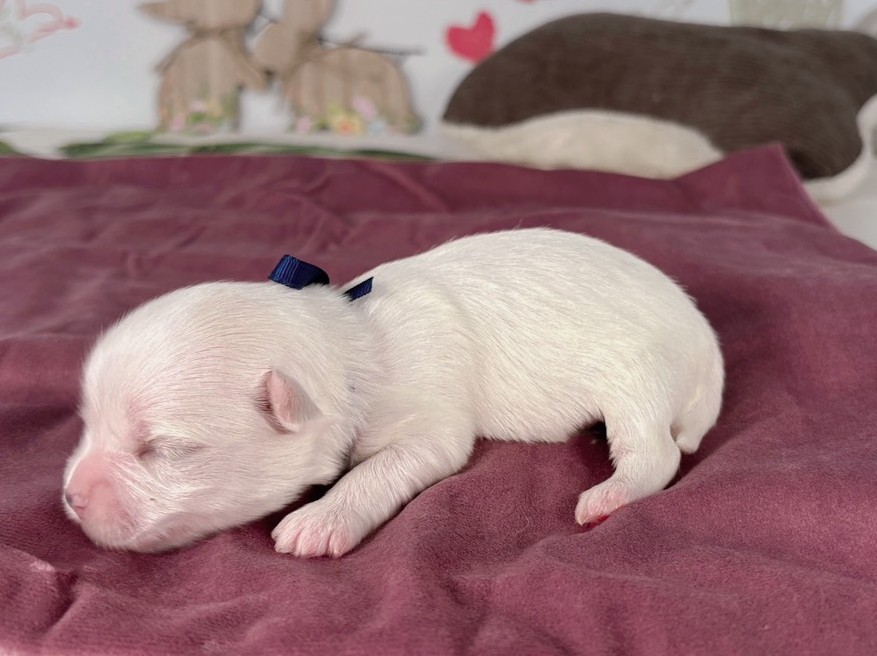 赤ちゃん写真1-2