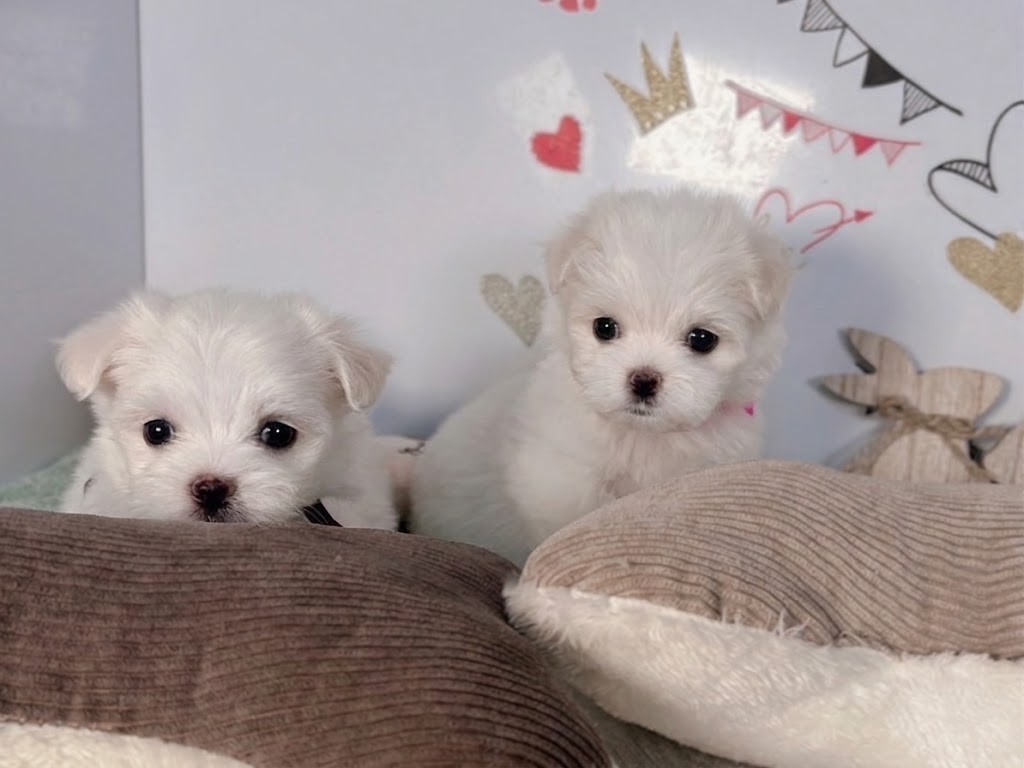 赤ちゃん写真2-3