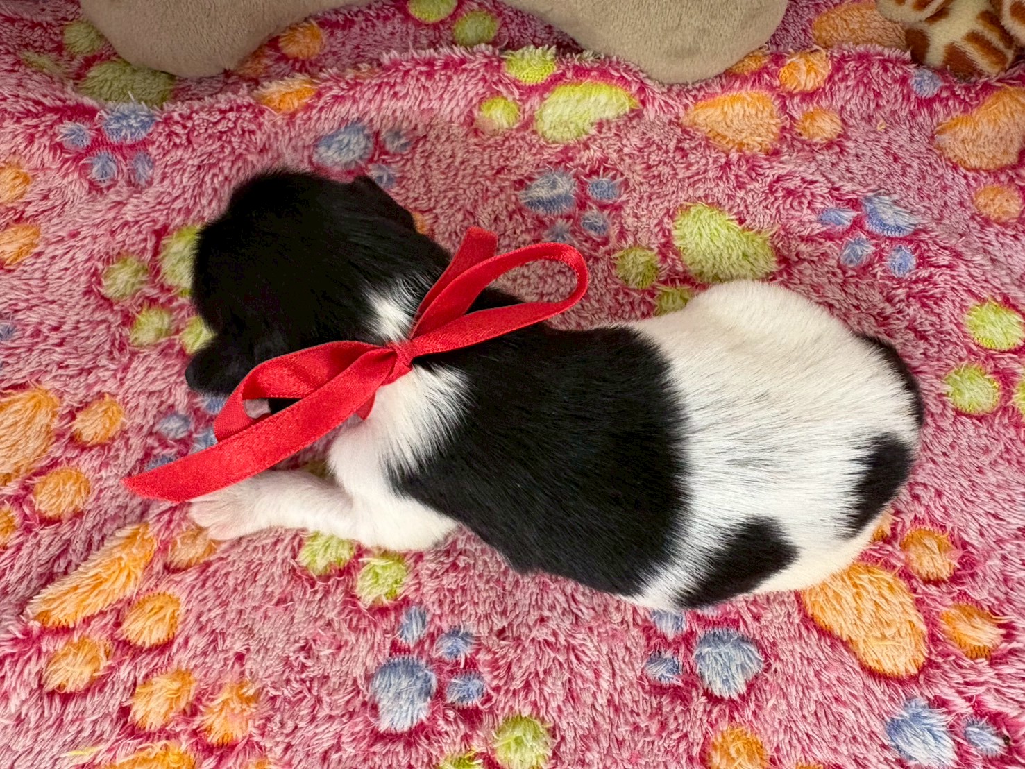 赤ちゃん写真1-3