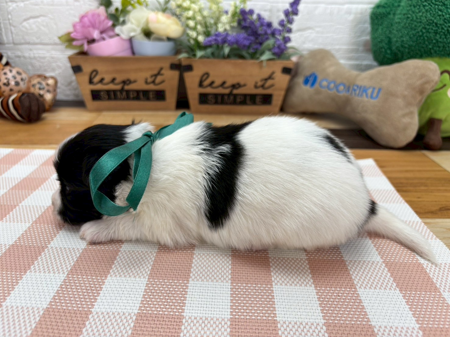 赤ちゃん写真2-2
