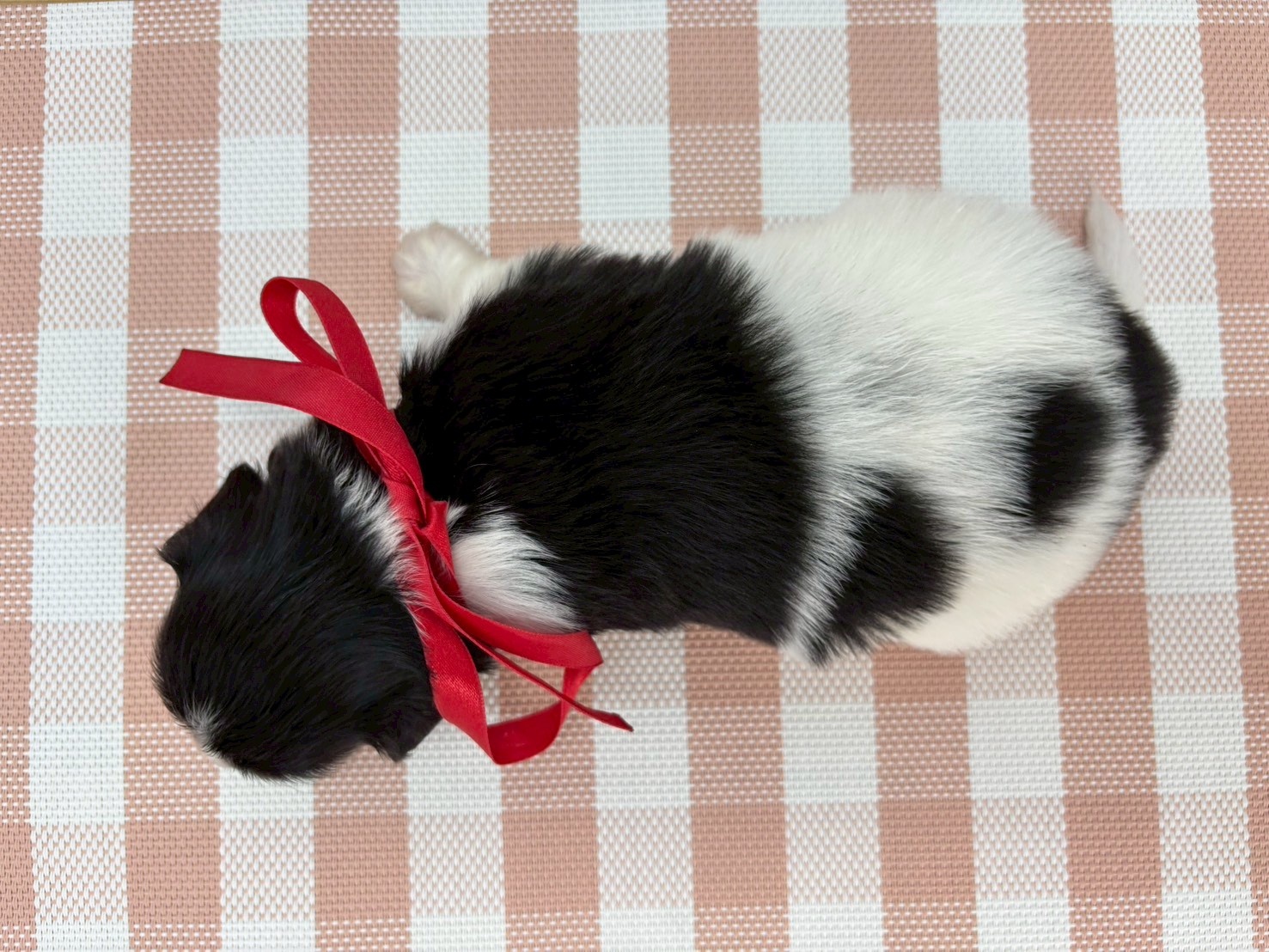 赤ちゃん写真2-3