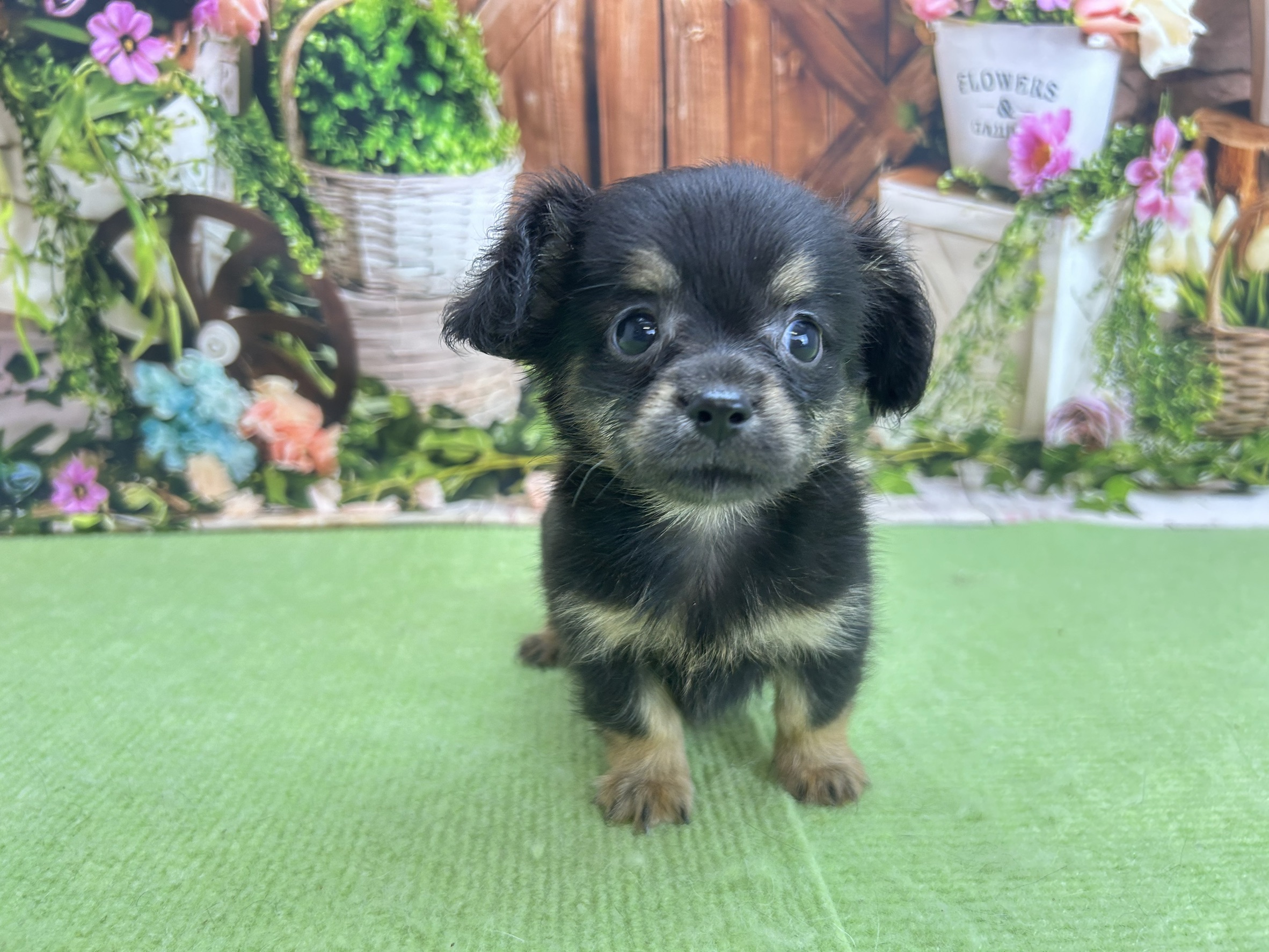 赤ちゃん写真2-1
