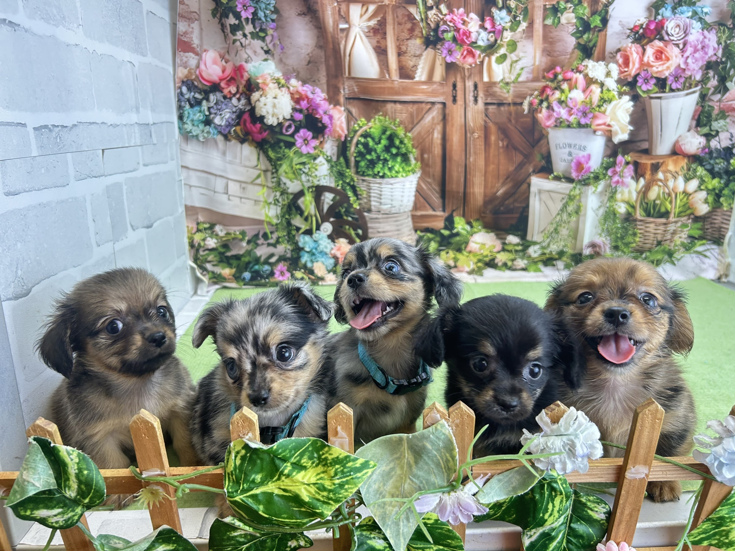 赤ちゃん写真2-3