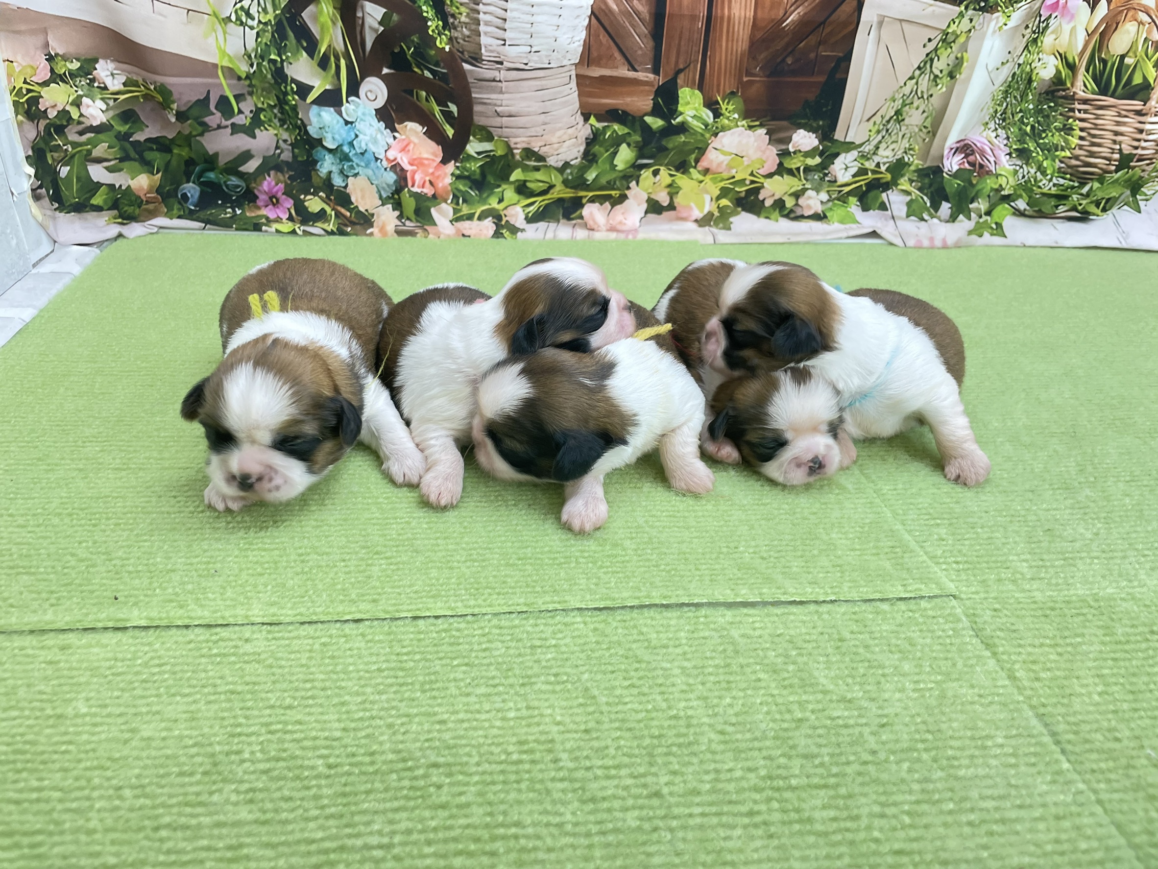 赤ちゃん写真1-3