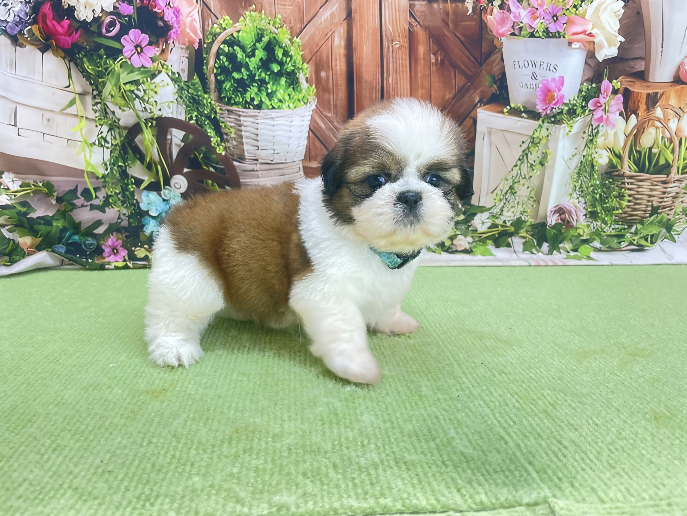 赤ちゃん写真2-2