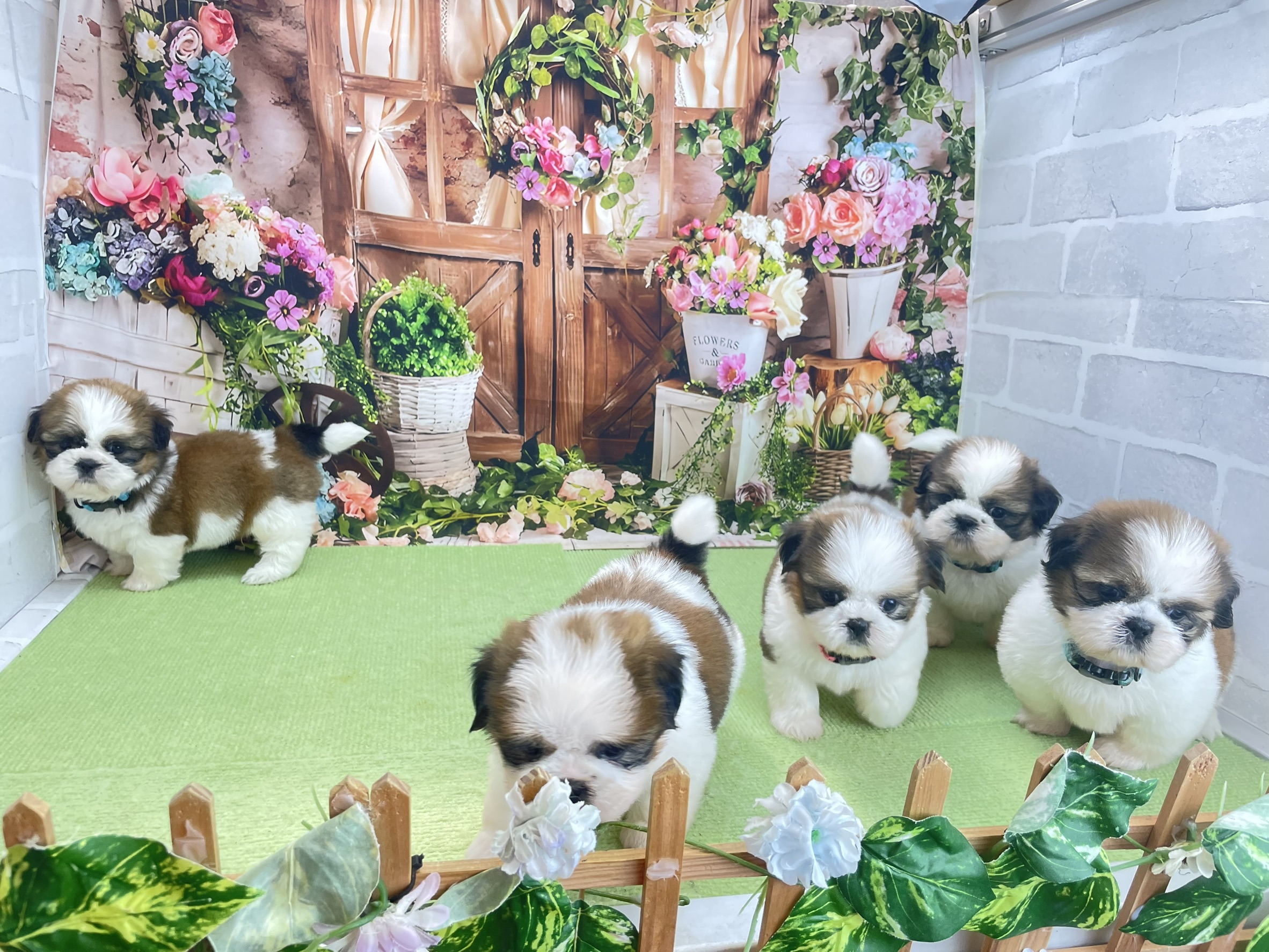 赤ちゃん写真2-3
