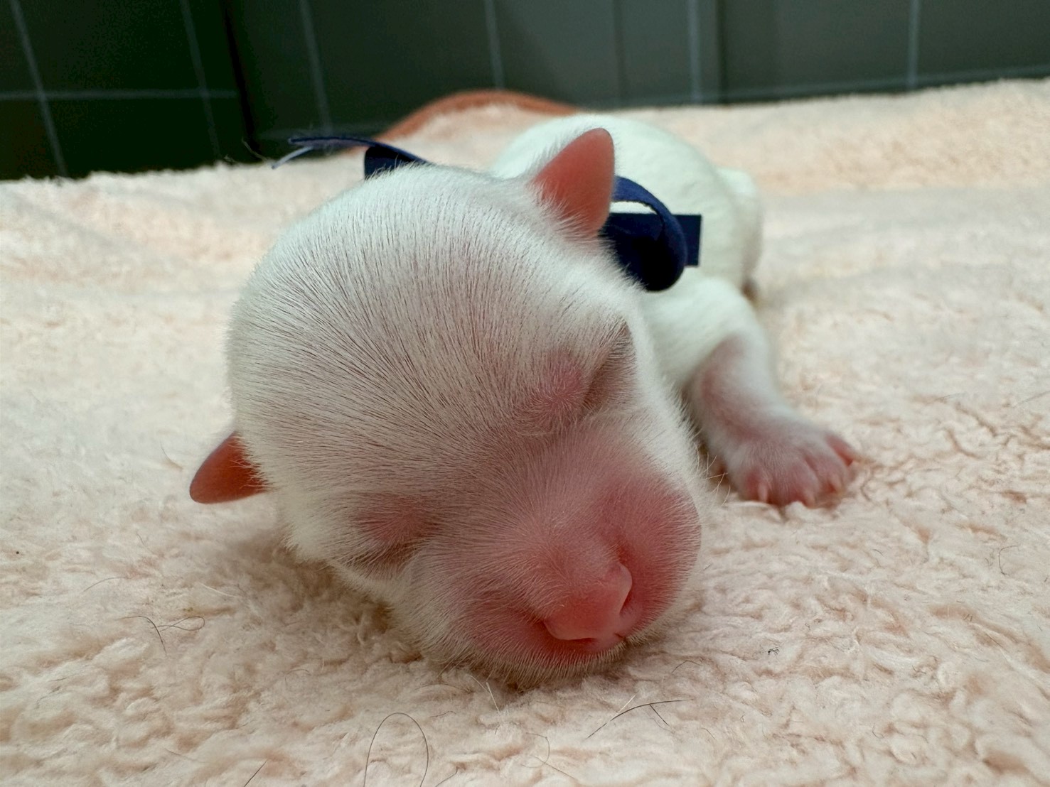 赤ちゃん写真1-1