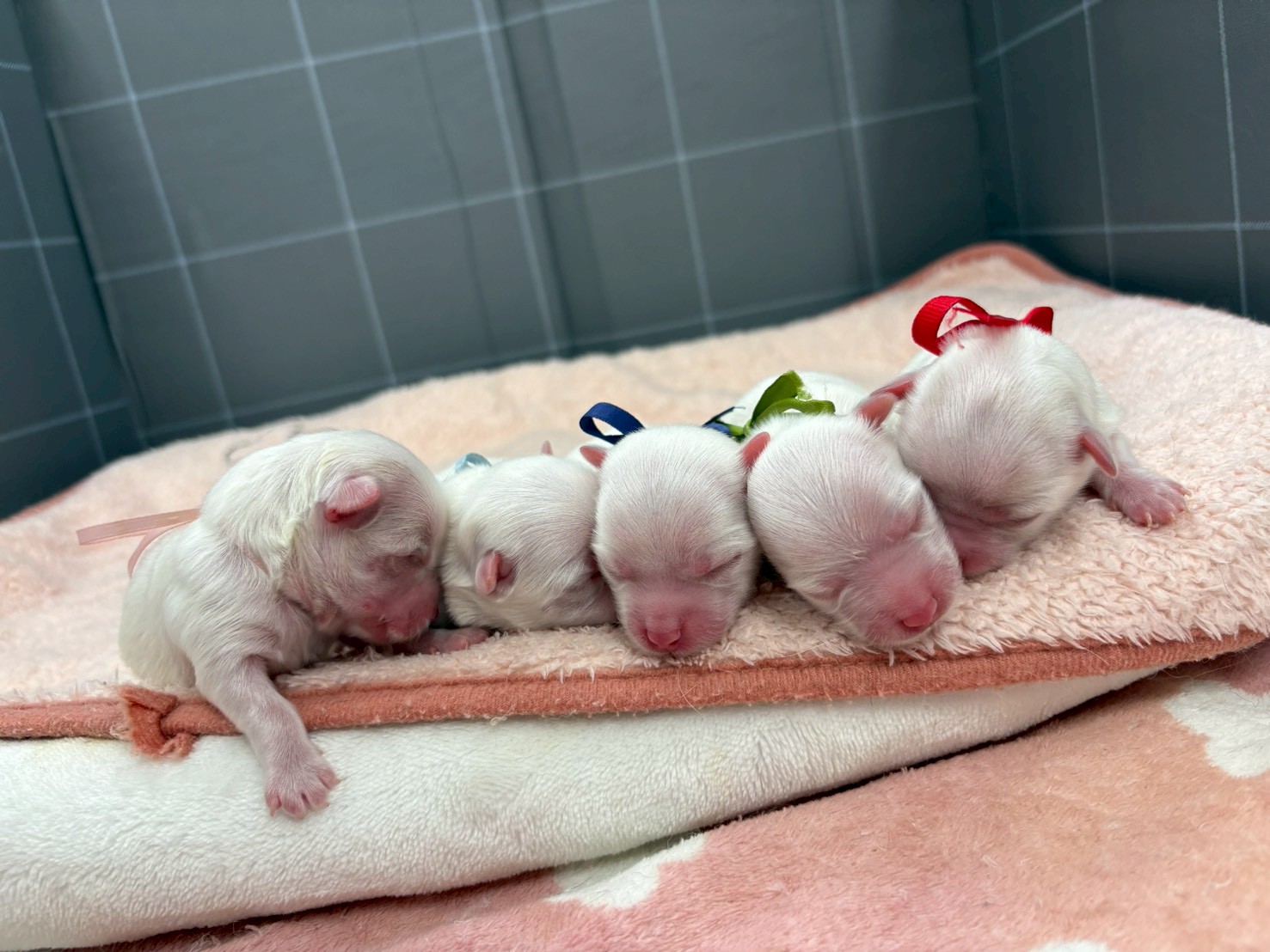赤ちゃん写真1-3