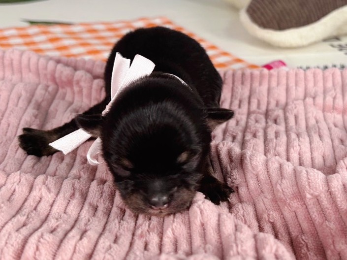 赤ちゃん写真1-1