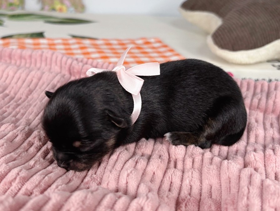赤ちゃん写真1-2
