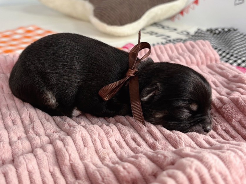 赤ちゃん写真1-2
