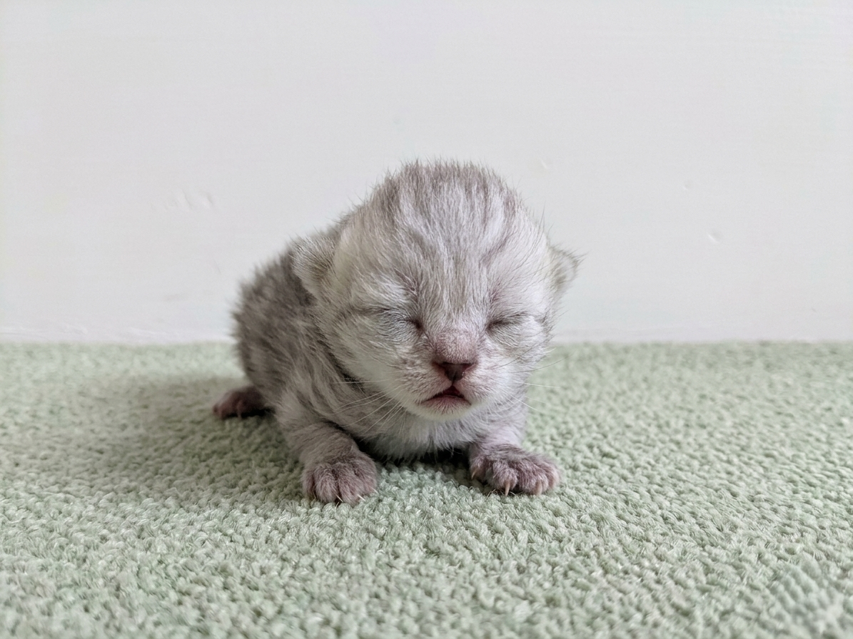 赤ちゃん写真1-1