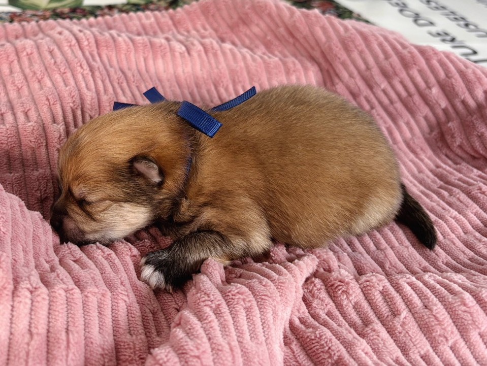 赤ちゃん写真1-2