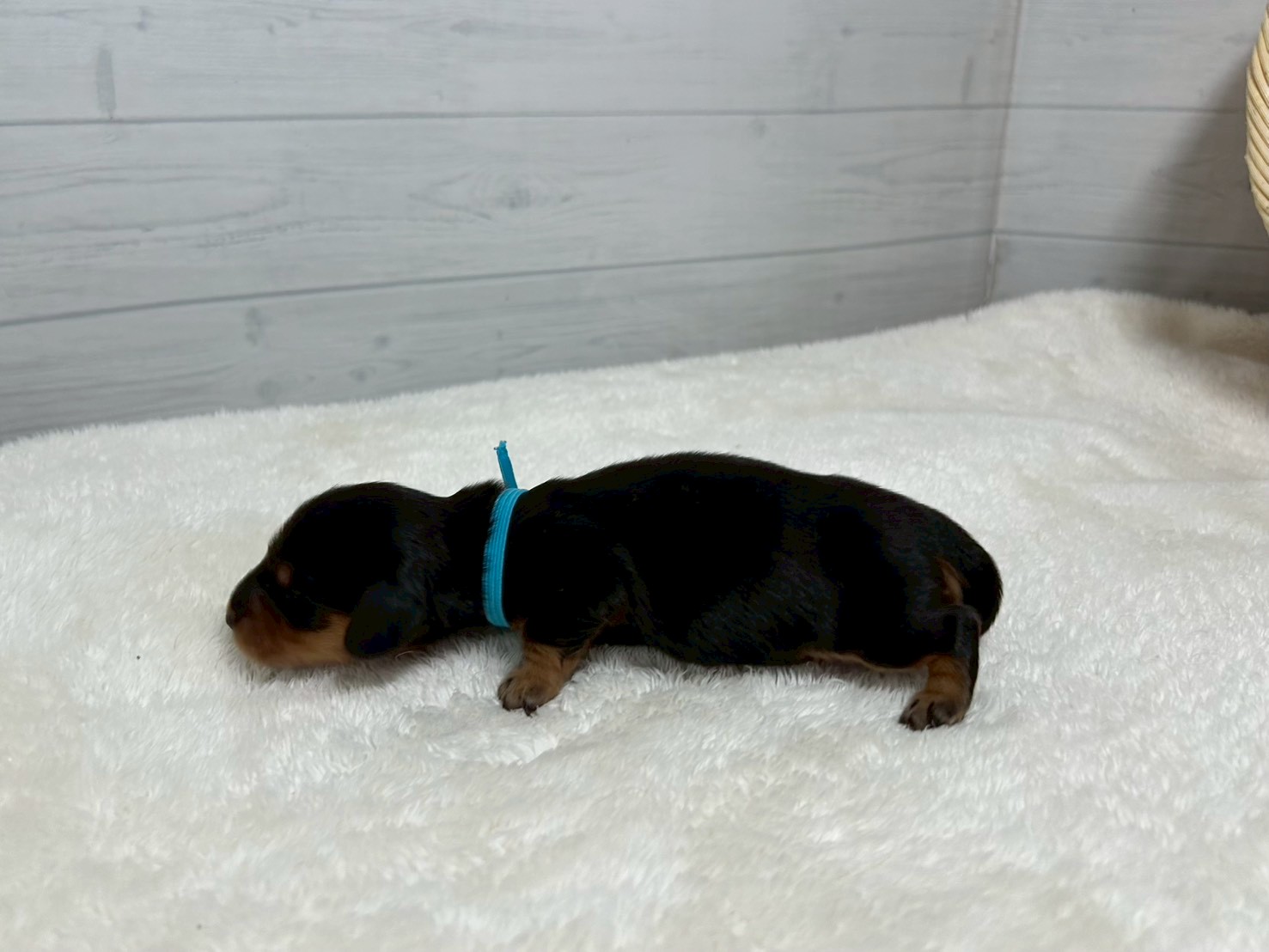 赤ちゃん写真1-2