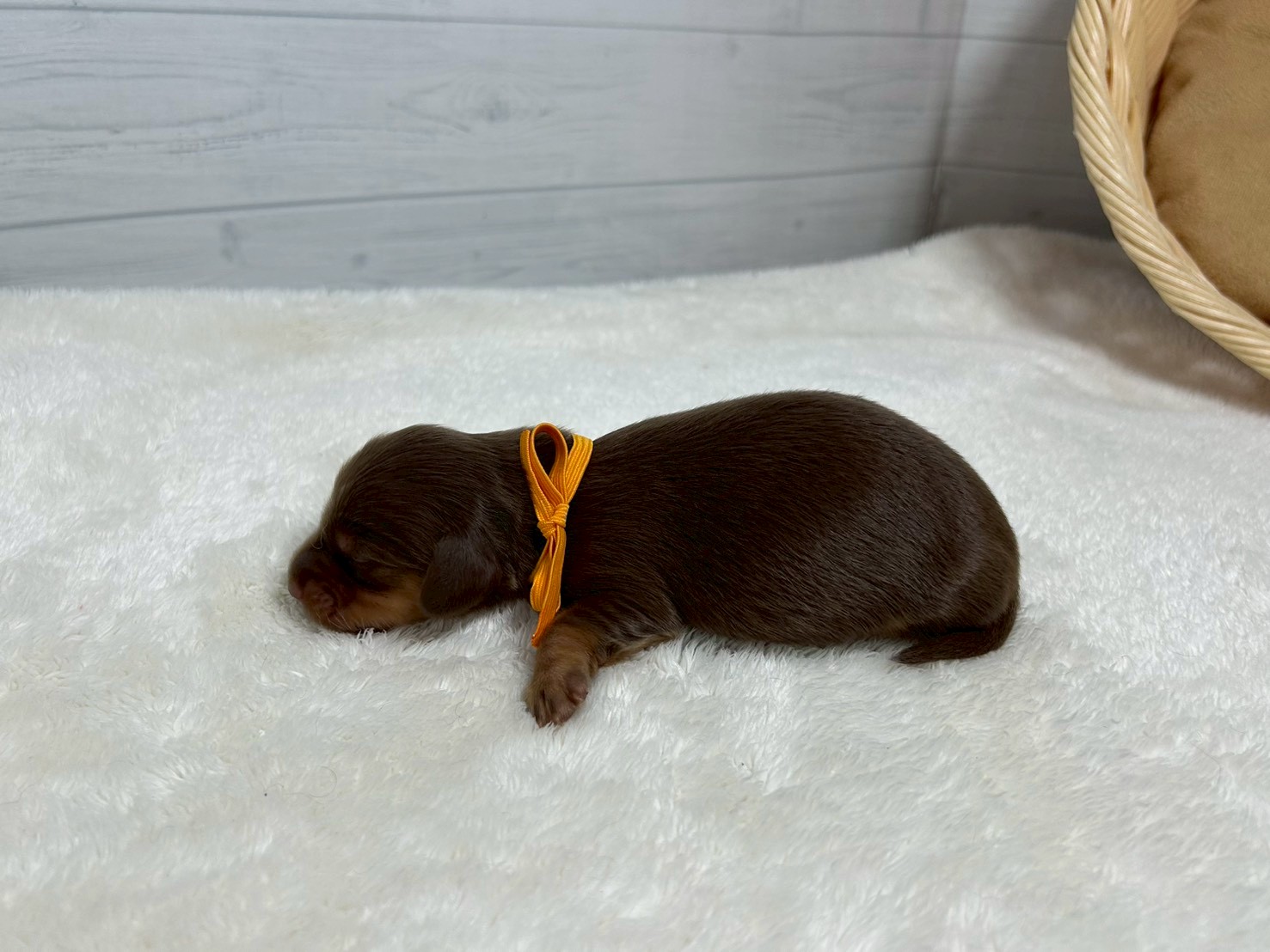 赤ちゃん写真1-2