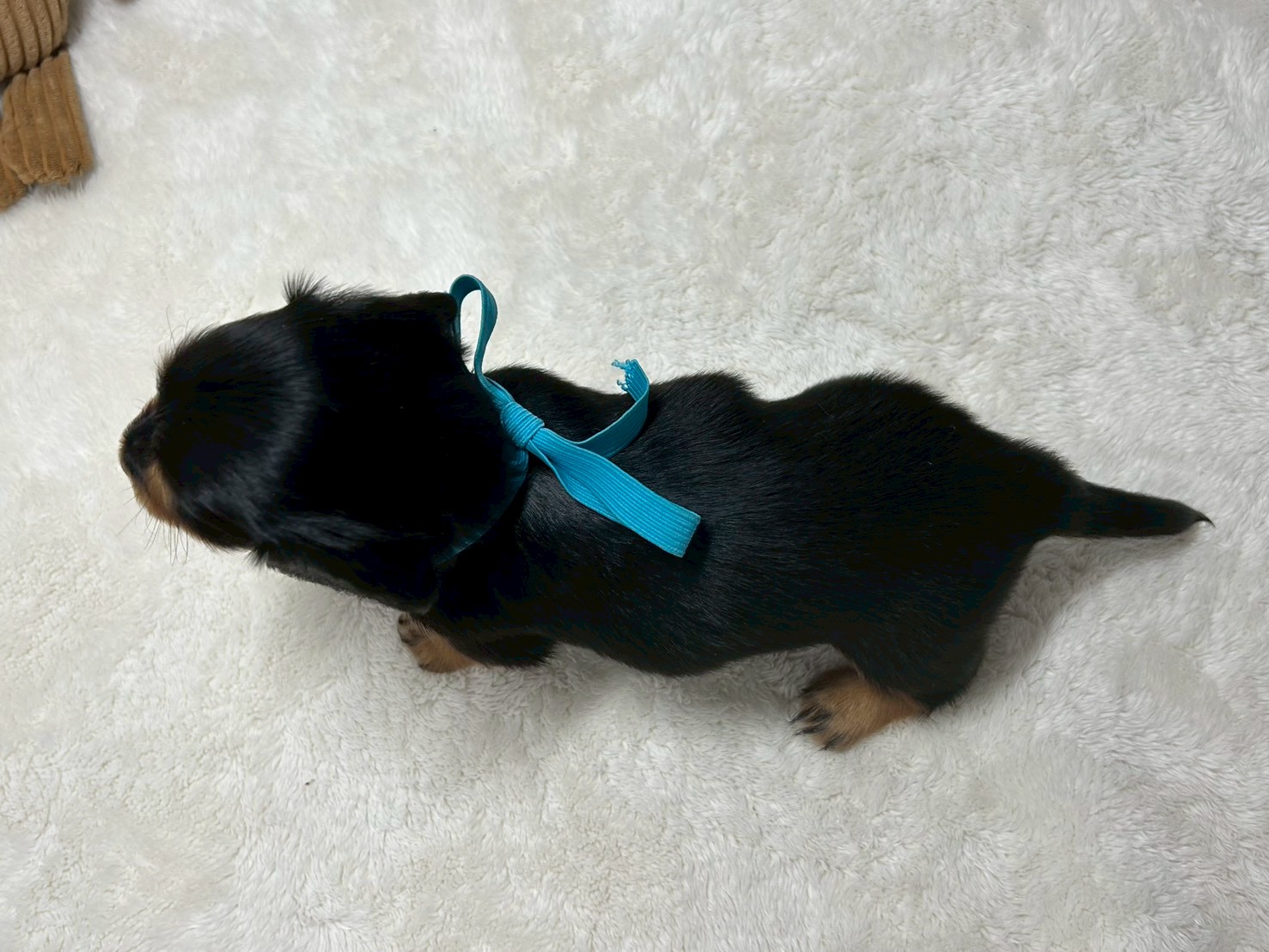 赤ちゃん写真2-3