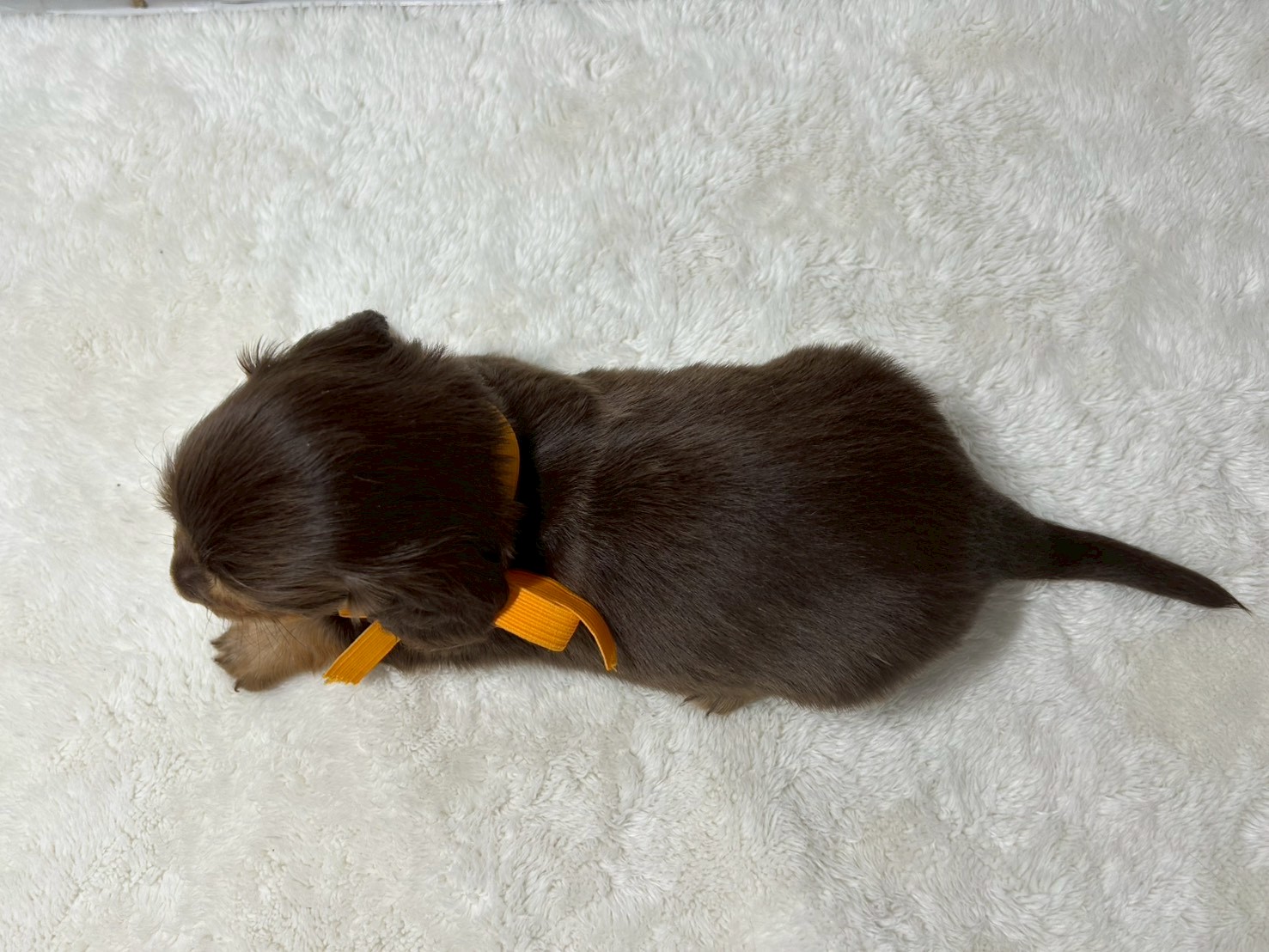 赤ちゃん写真2-3