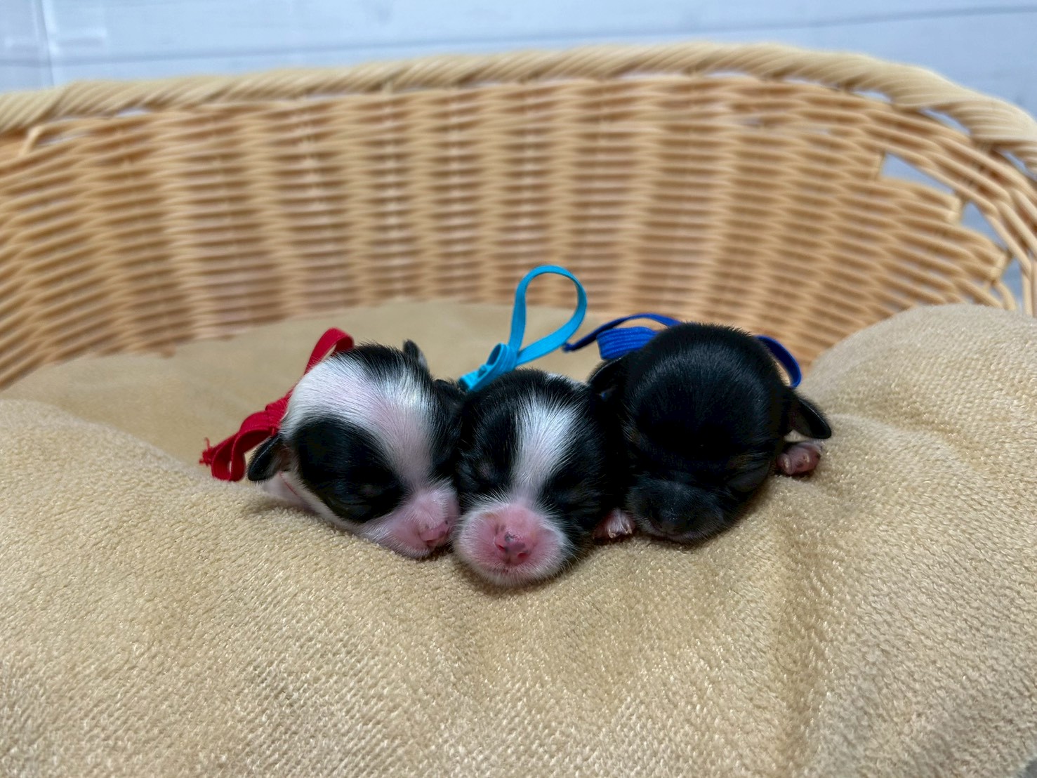 赤ちゃん写真1-3