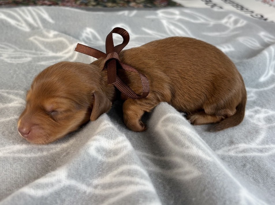 赤ちゃん写真1-2