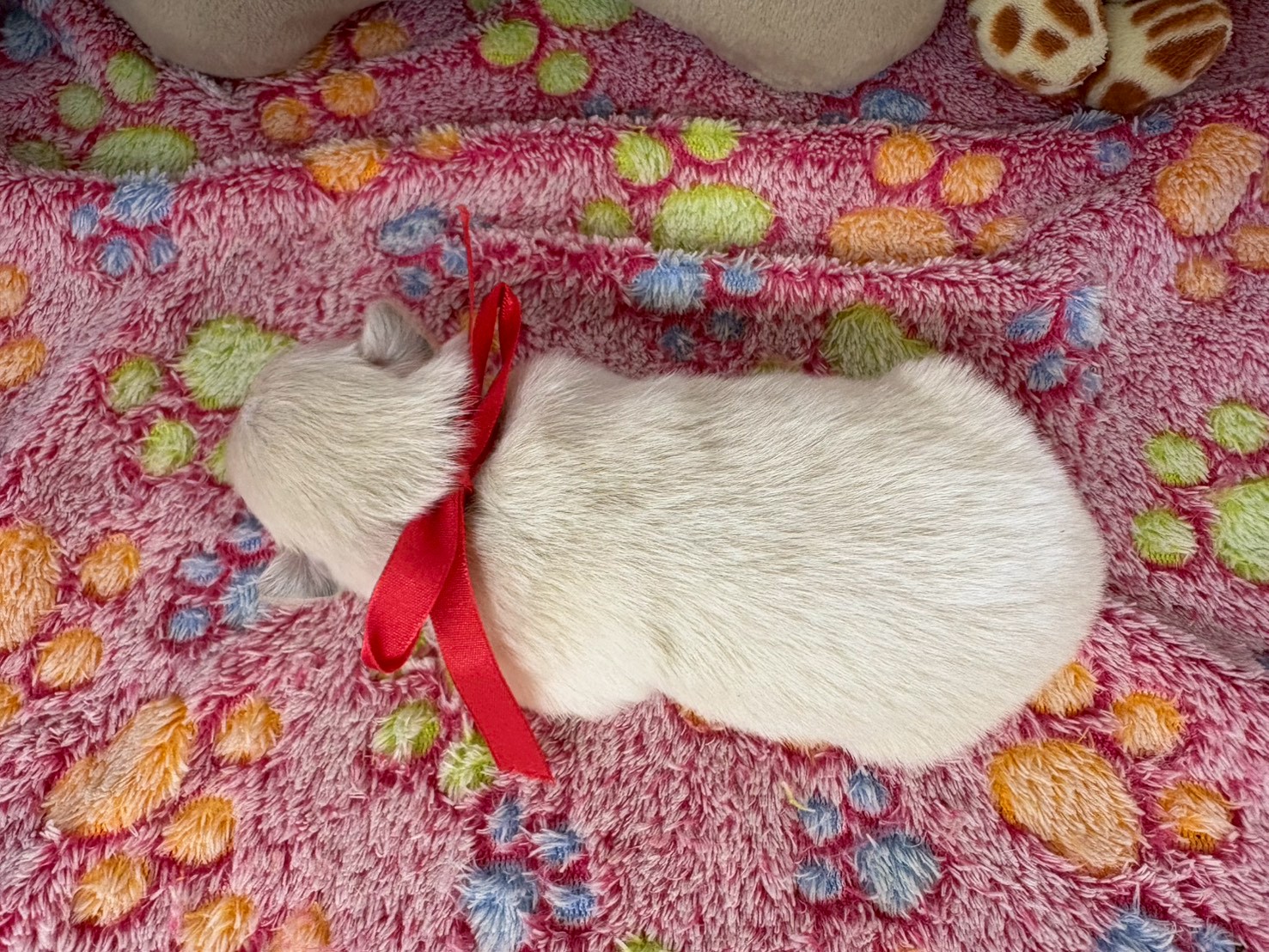 赤ちゃん写真1-3