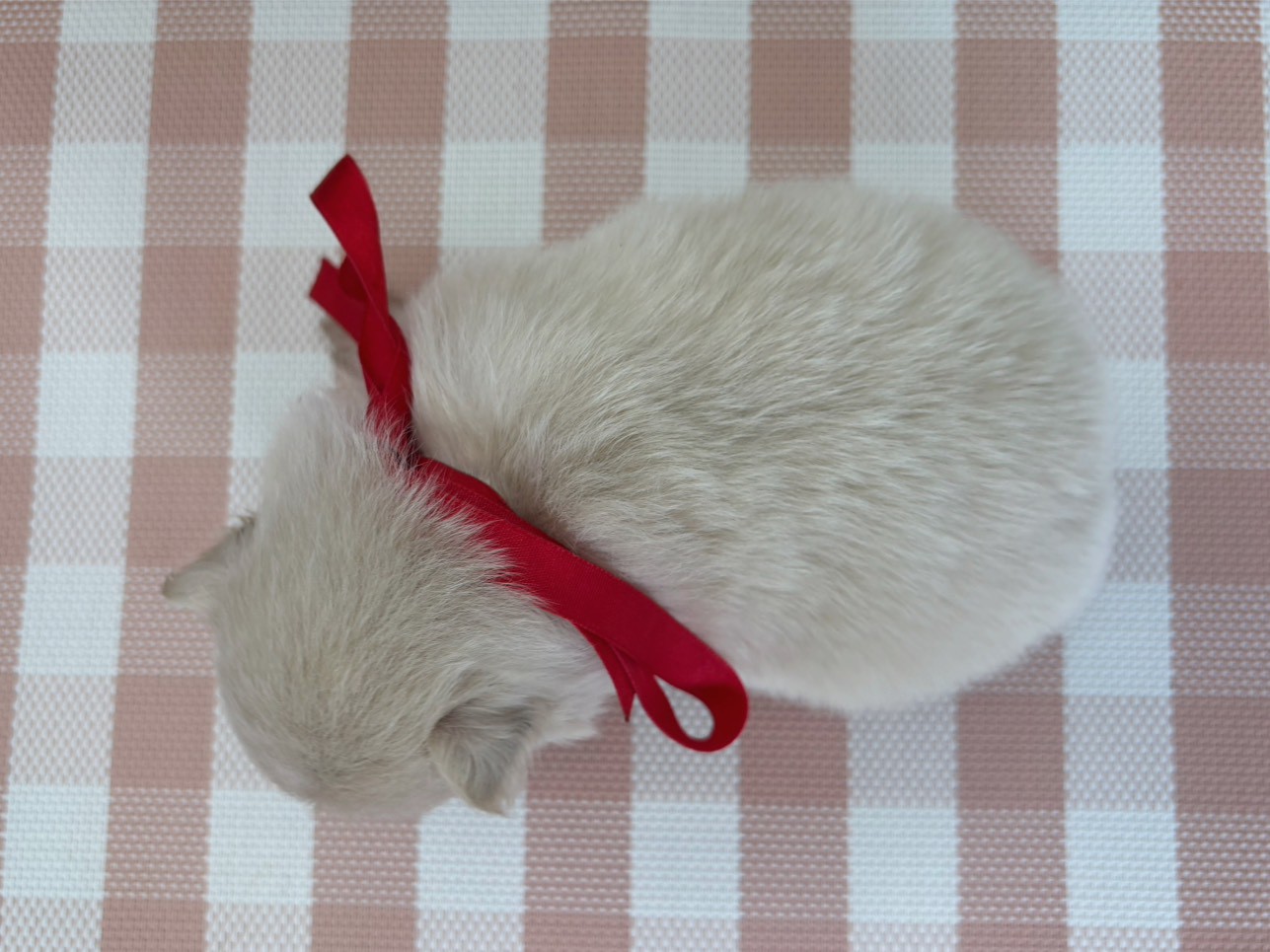 赤ちゃん写真2-3