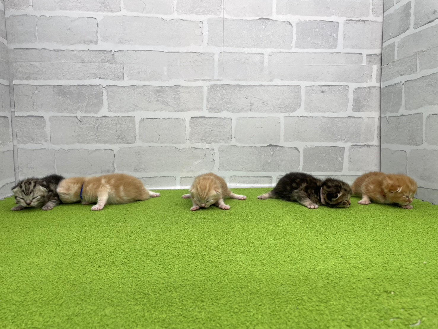 赤ちゃん写真1-3