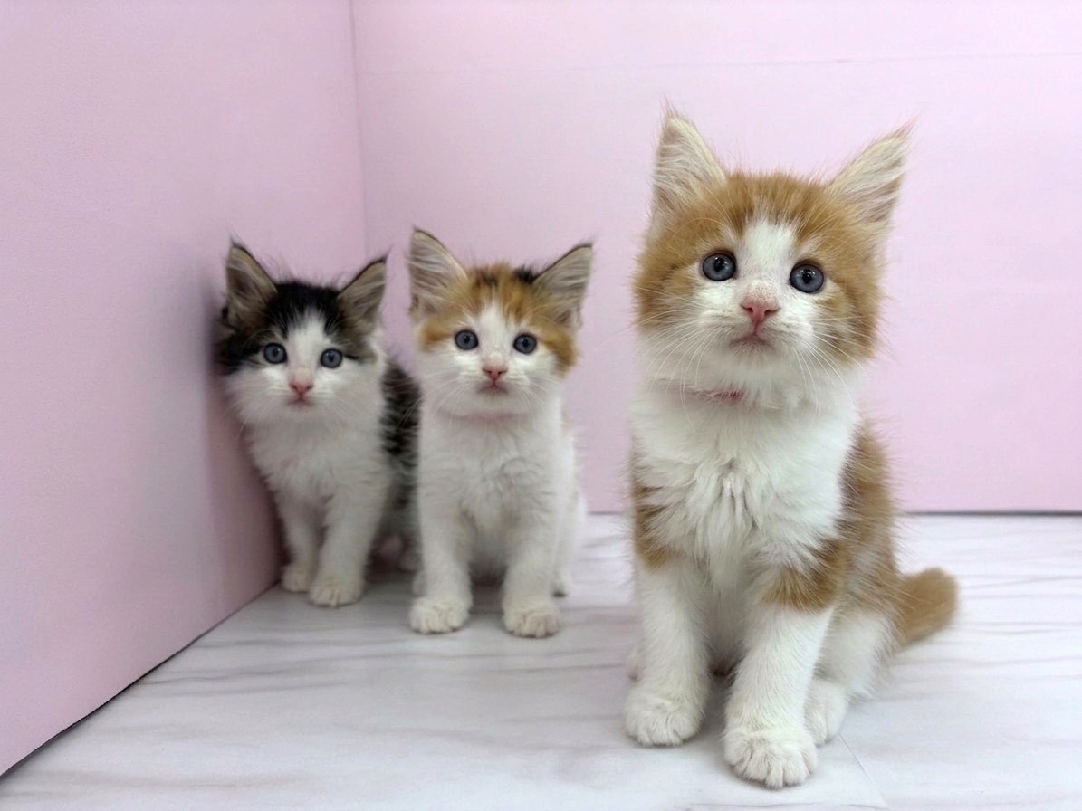 赤ちゃん写真2-3