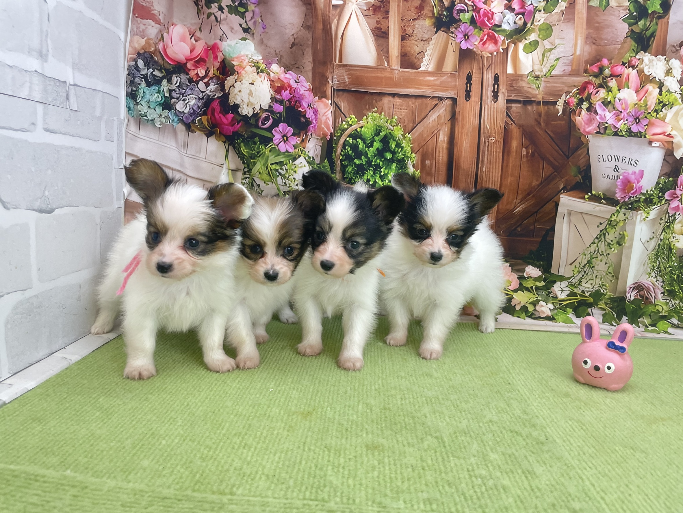 赤ちゃん写真2-3