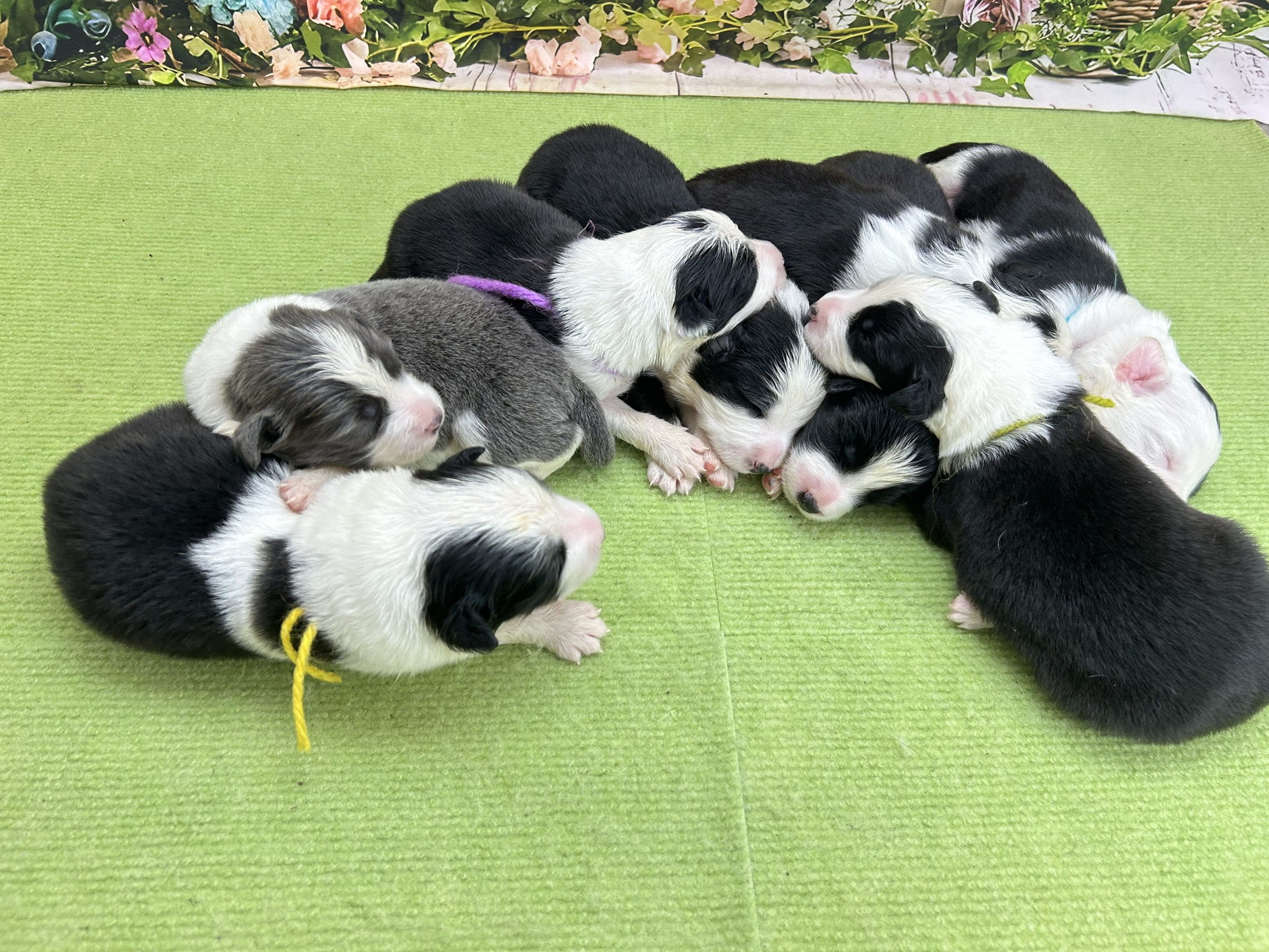 赤ちゃん写真1-3