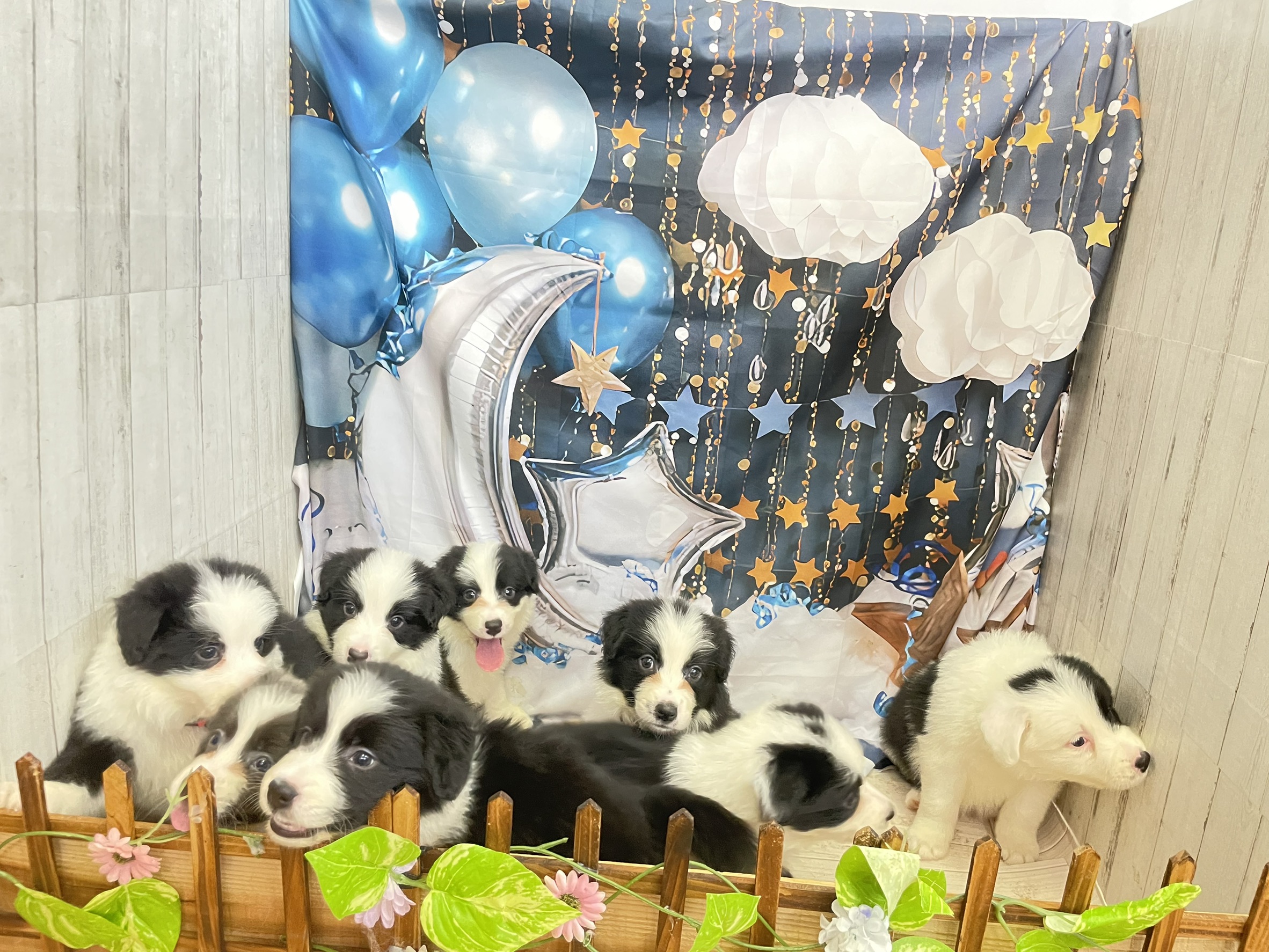 赤ちゃん写真2-3