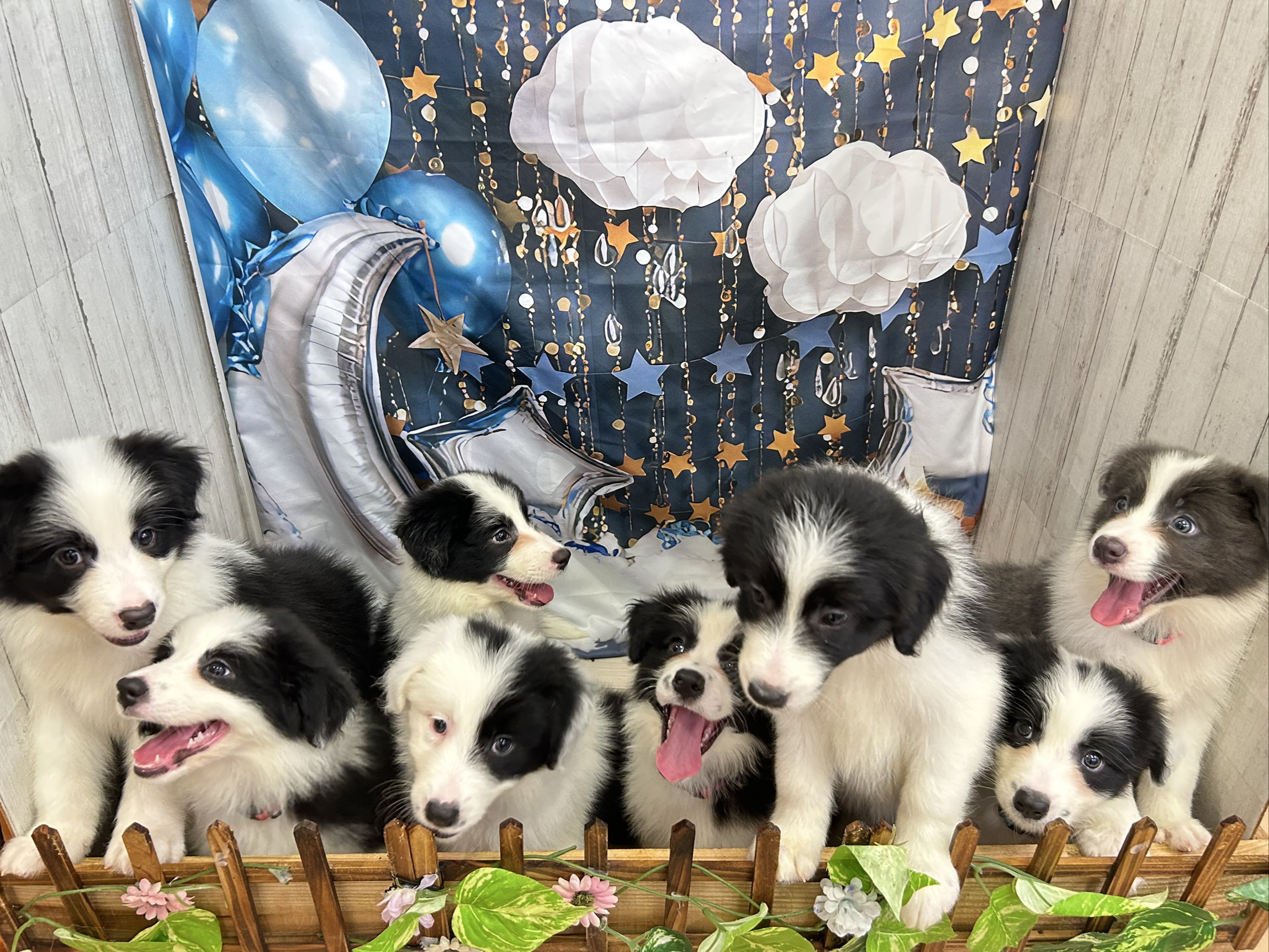 赤ちゃん写真3-3