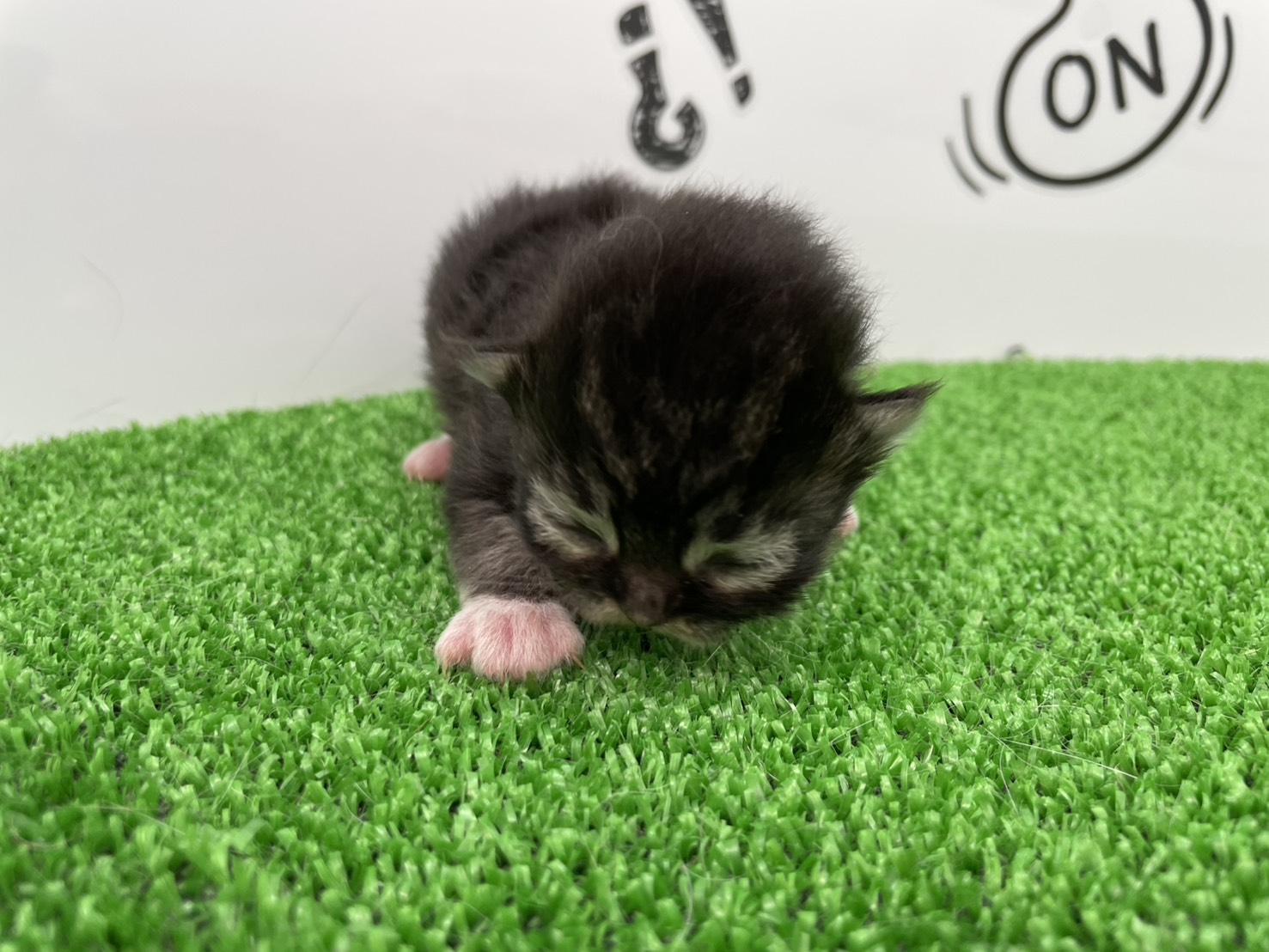 赤ちゃん写真1-1