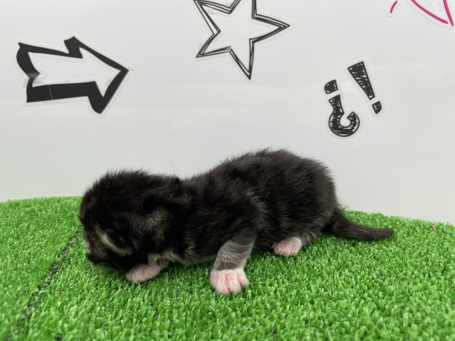 赤ちゃん写真1-2