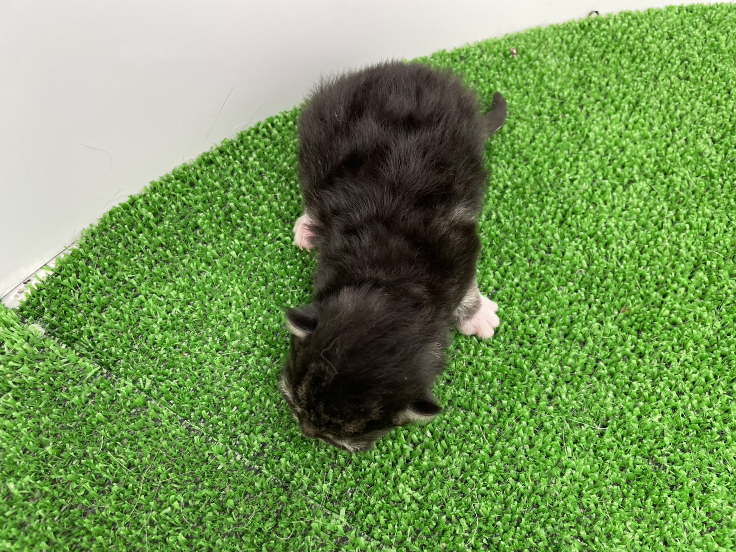 赤ちゃん写真1-3