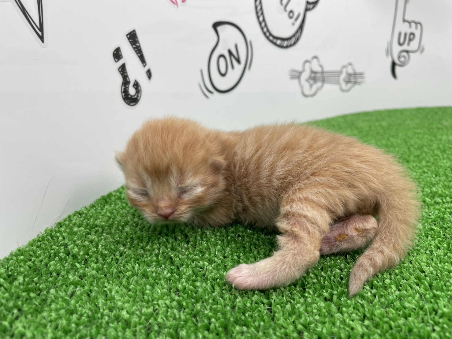 赤ちゃん写真1-2