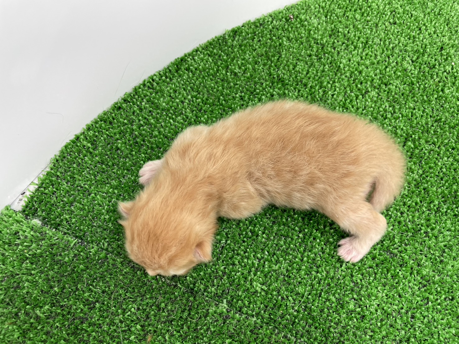 赤ちゃん写真1-3