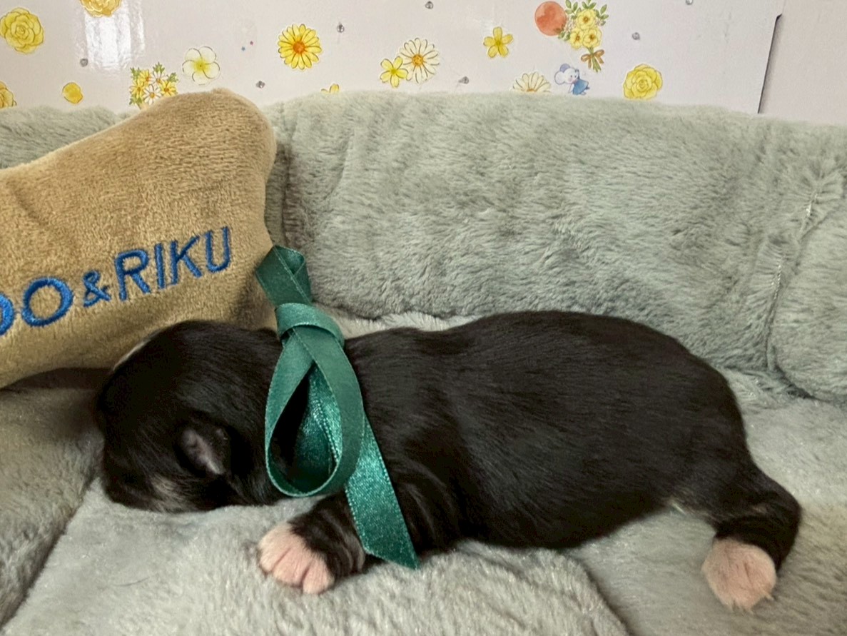 赤ちゃん写真1-2