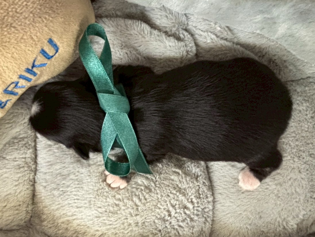 赤ちゃん写真1-3