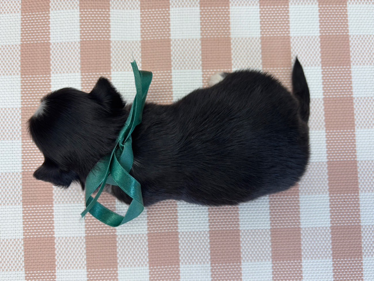 赤ちゃん写真2-3